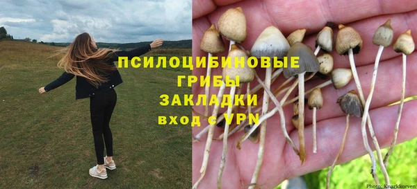 spice Балабаново